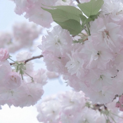 Furry赛博风格设计技巧兽圈社群